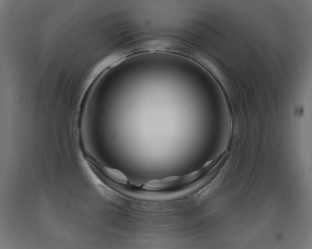 X0000093141434200709261415