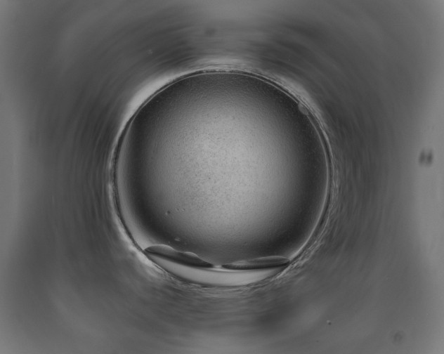 X0000093141440200709261415