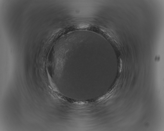X0000093141441200709261415