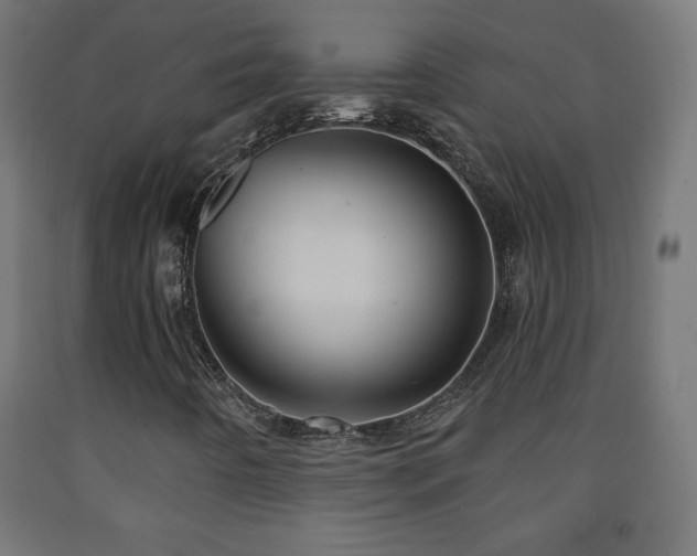 X0000093141442200709261415