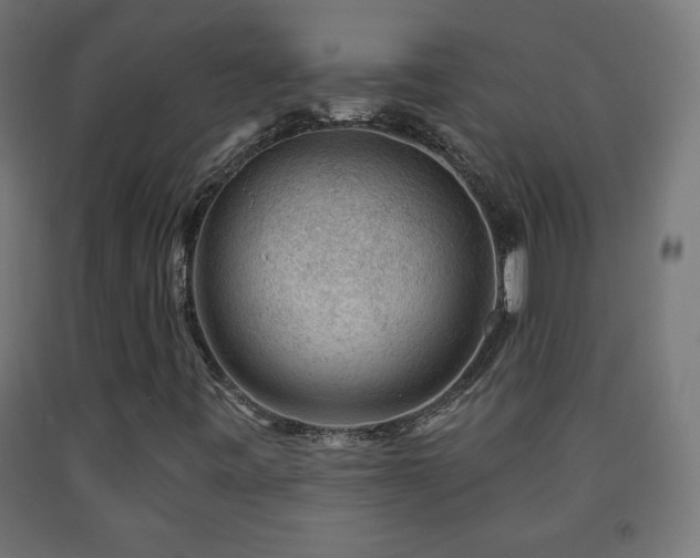 X0000093141443200709261415