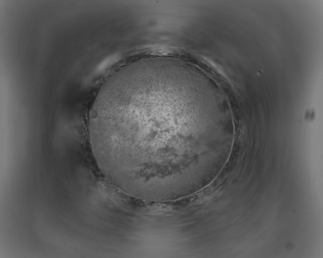 X0000093141446200709261415