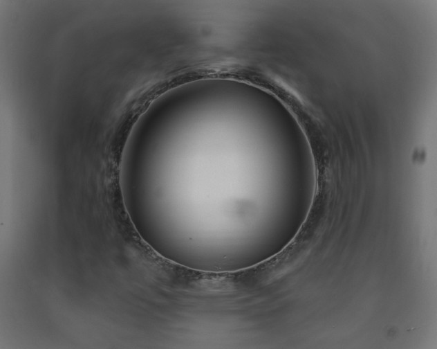 X0000093141447200709261415