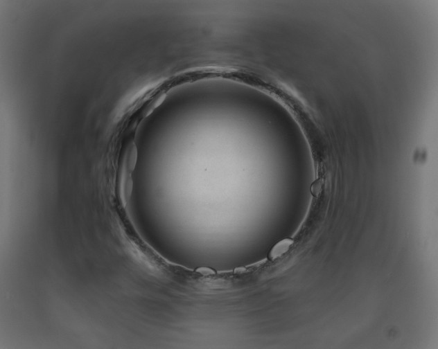 X0000093141448200709261415