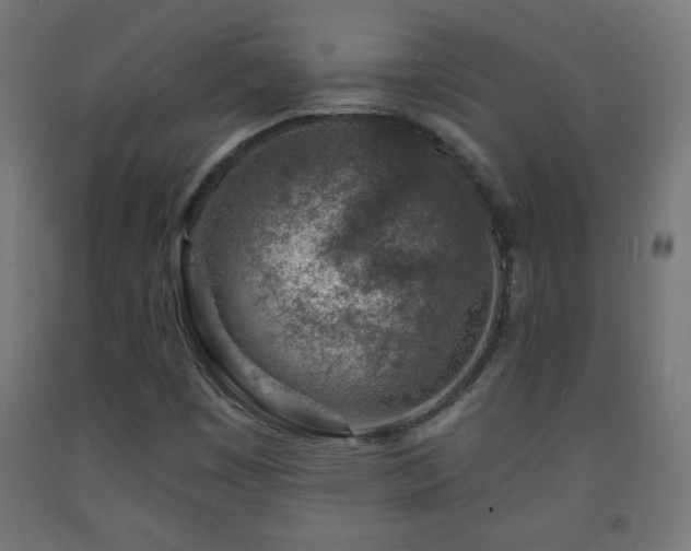 X0000093141449200709261415