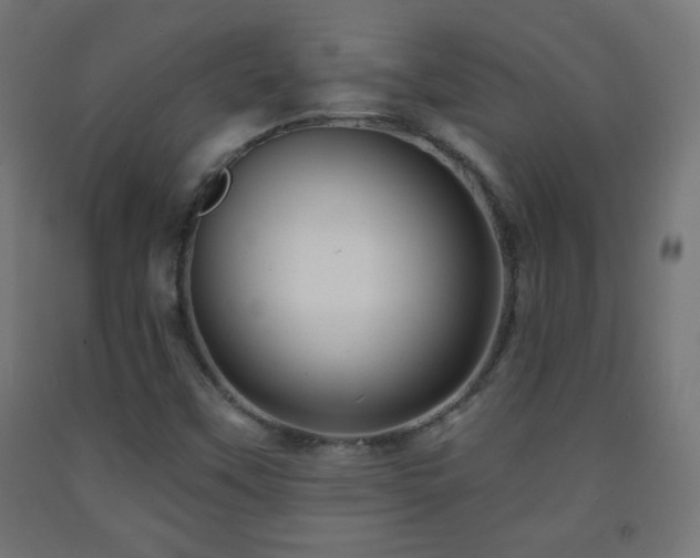 X0000093141451200709261415