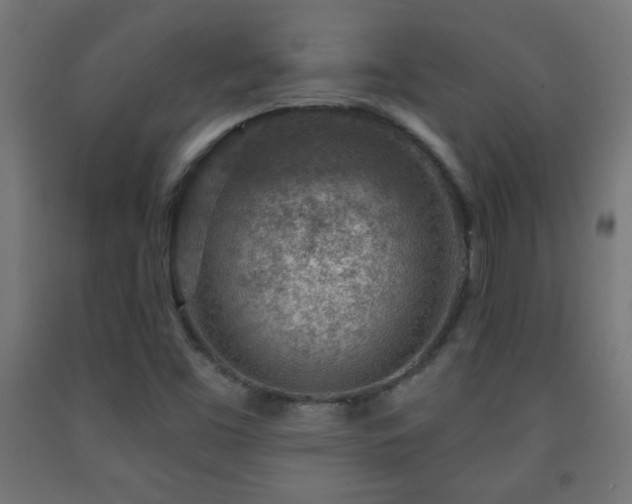 X0000093141453200709261415