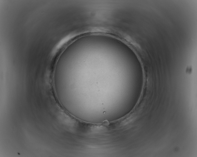 X0000093141454200709261415