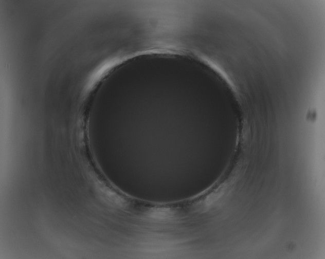 X0000093141455200709261415