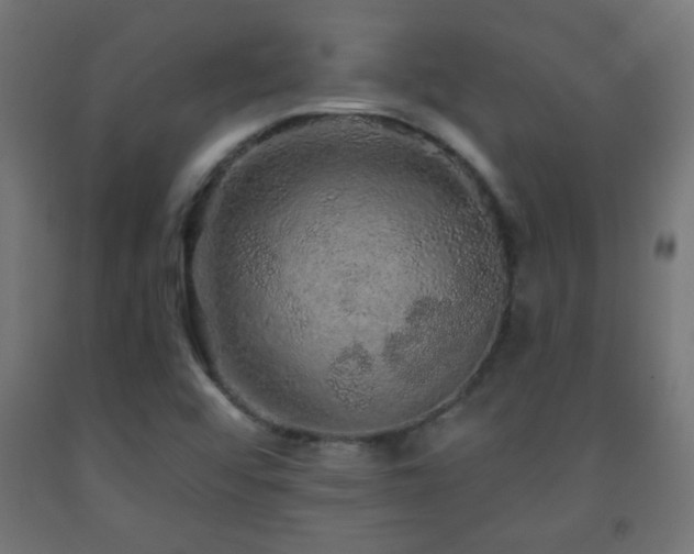 X0000093141456200709261415