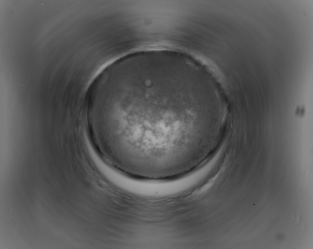 X0000093141457200709261415