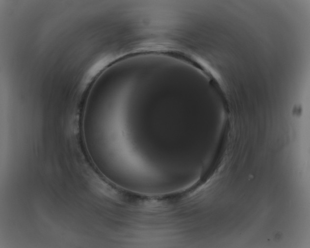 X0000093141459200709261415