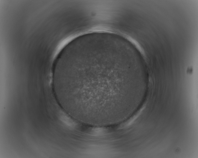 X0000093141461200709261415