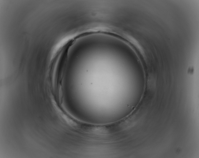 X0000093141464200709261415