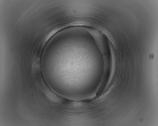 X0000093141465200709261415