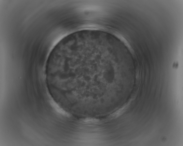 X0000093141466200709261415