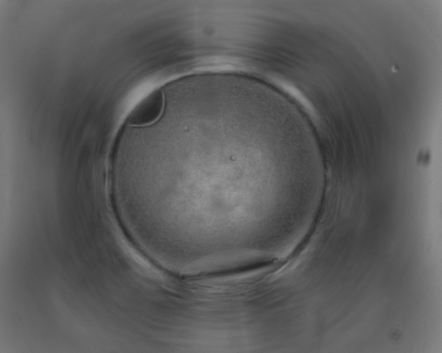 X0000093141467200709261415