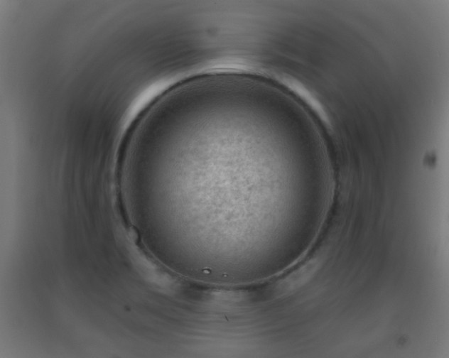 X0000093141469200709261415