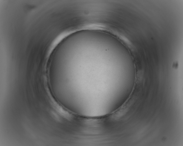 X0000093141470200709261415