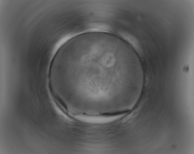 X0000093141471200709261415