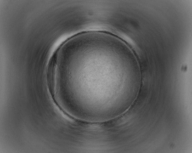 X0000093141472200709261414