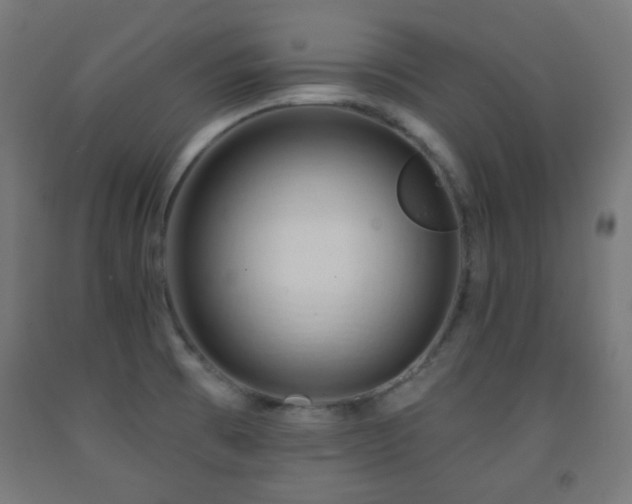 X0000093141473200709261414