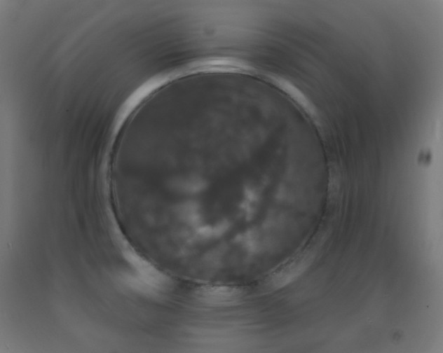 X0000093141474200709261414