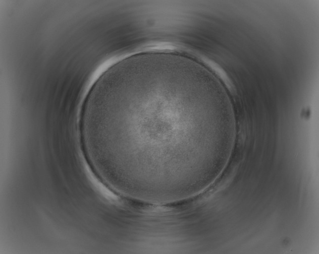 X0000093141475200709261414
