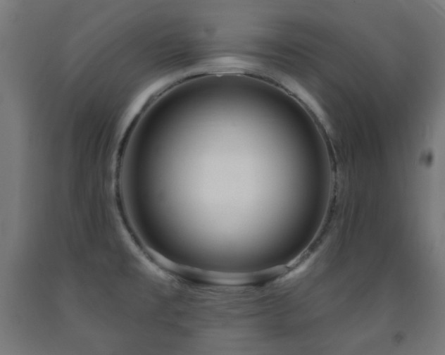 X0000093141477200709261414