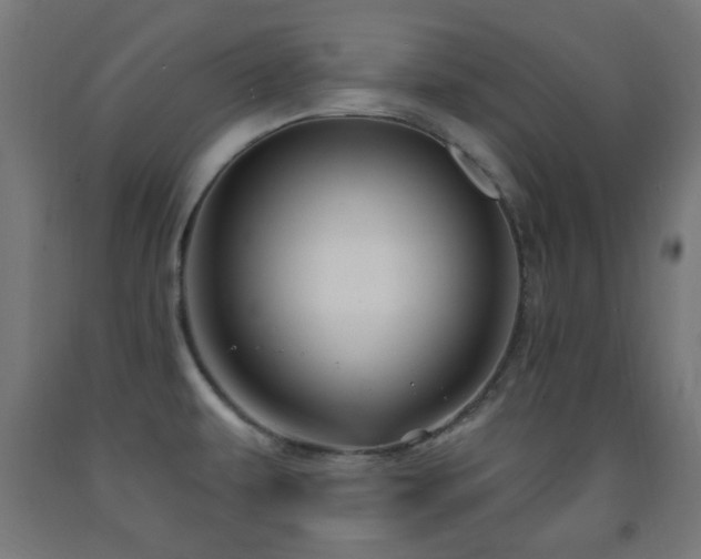 X0000093141479200709261414