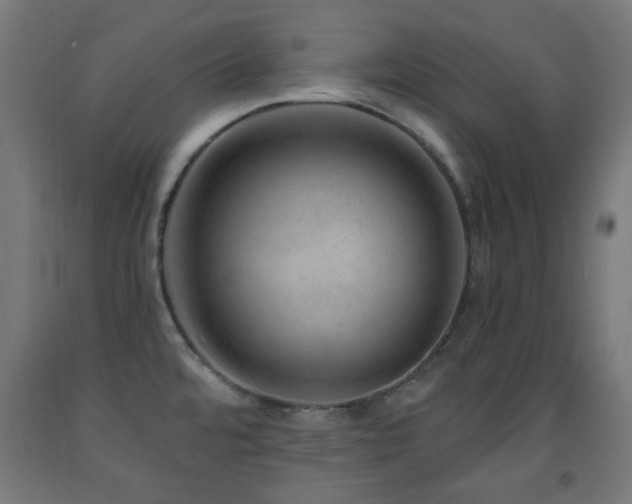 X0000093141480200709261414
