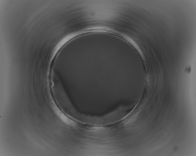 X0000093141482200709261414