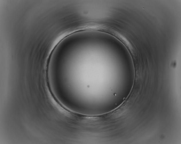X0000093141483200709261414