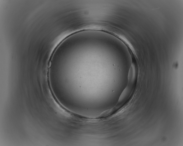 X0000093141484200709261414