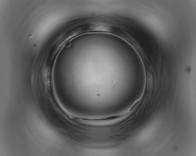 X0000093141487200709261414