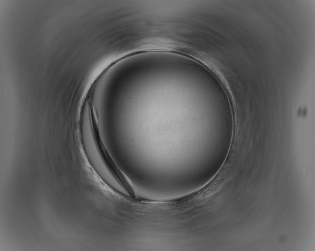 X0000093141488200709261414