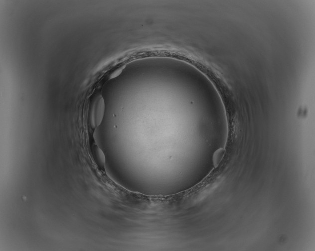 X0000093141494200709261414