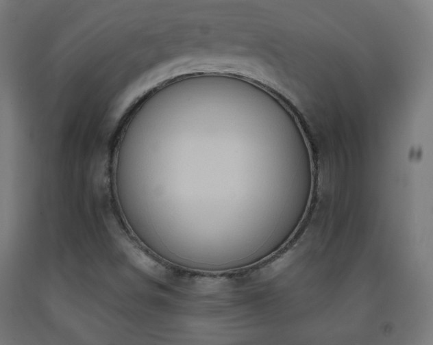 X0000093141498200709261414