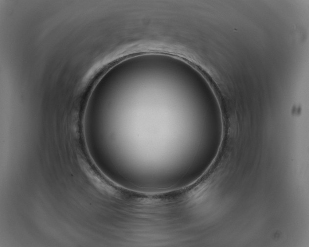 X0000093141499200709261414