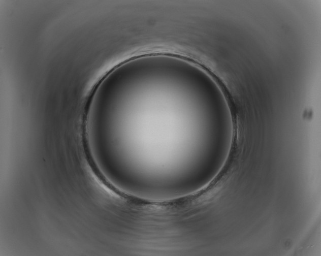 X0000093141500200709261414