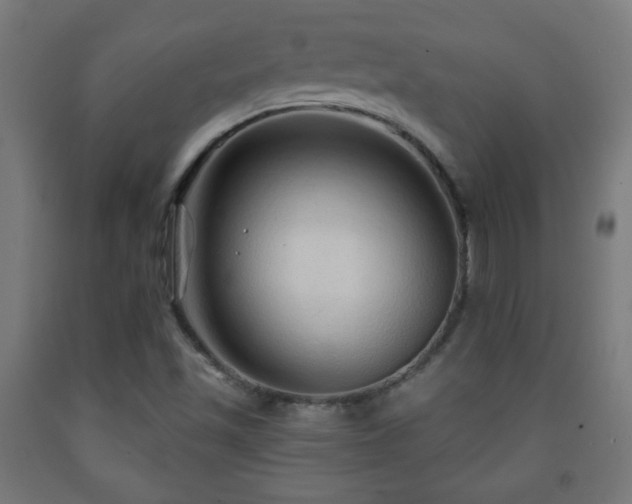 X0000093141501200709261414