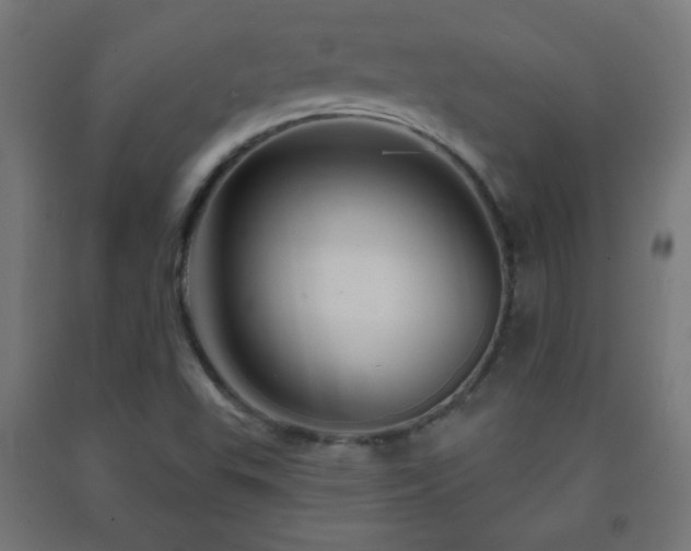 X0000093141503200709261414