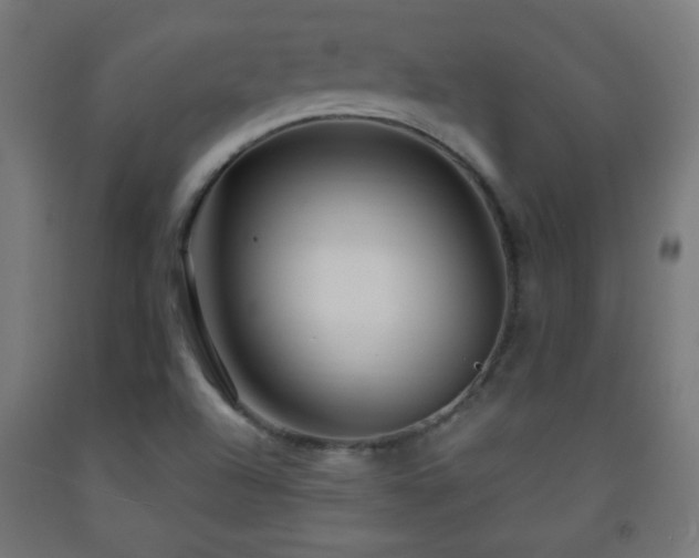 X0000093141504200709261414