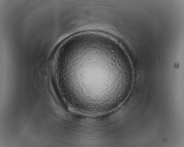 X0000093141505200709261414