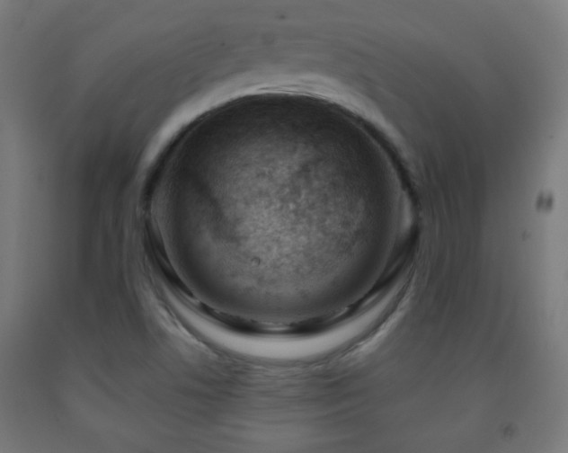 X0000093141506200709261414