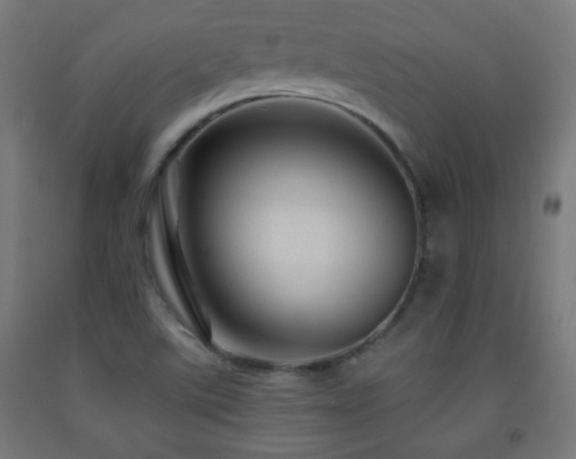 X0000093141507200709261414
