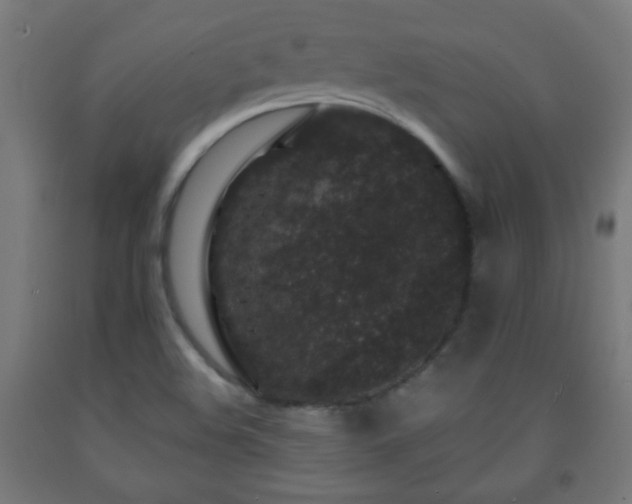 X0000093141508200709261414