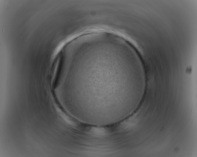 X0000093141509200709261414