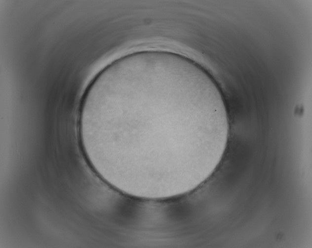 X0000093141514200709261414