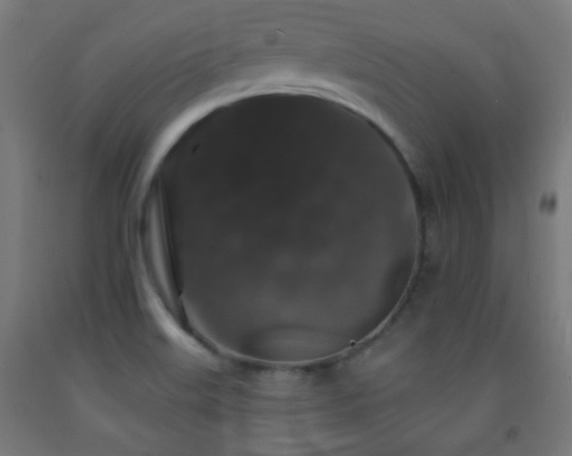 X0000093141515200709261414